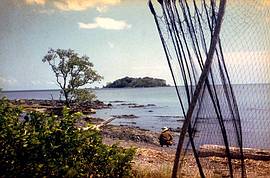 Küste bei Pleihari, Kalimantan 1958